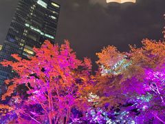 -比斯特上海购物村精品奥特莱斯