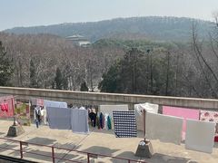 -武汉大学-樱园