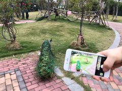 -灵玲国际马戏城