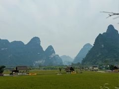 -明仕田园