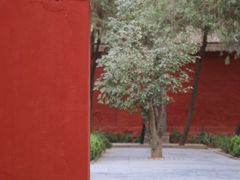 -洛阳白马寺