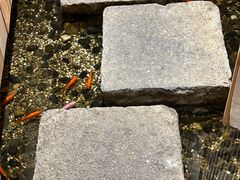 -邈墨茶馆(凤起路店)