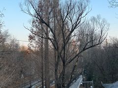 -白水寺森林公园