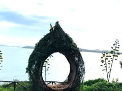 -漳州滨海火山岛自然生态风景区