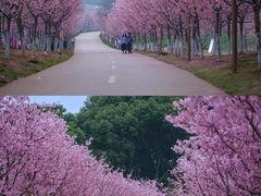 -凤凰沟景区
