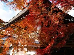 -三千院