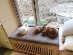 -猫和宫(六道口店)