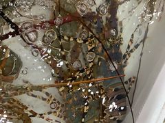 -拉威海鲜市场