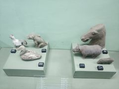 -古陶文明博物馆