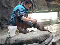 -海合安成都极地海洋公园