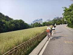 -贵阳市花溪国家城市湿地公园