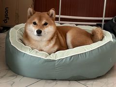 -纳吉亚猫专科动物医院·北北分院