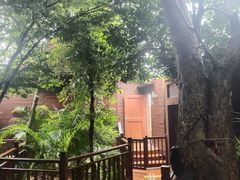 -亚龙湾热带天堂森林公园
