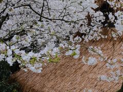 -中国茶叶博物馆(双峰馆区)
