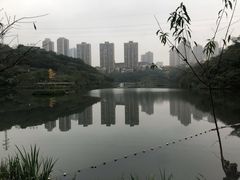 -重庆彩云湖湿地公园