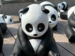 -星光大道