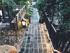 -崇阳三特浪口温泉