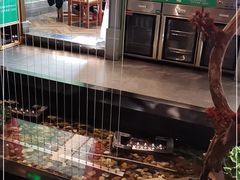 -松沪名灶·豆浆鱼头·新上海菜(飞航吾悦广场店)