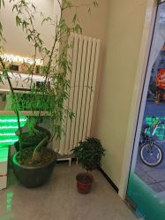 -卡尔诗·科技美肤连锁