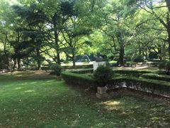 -上海交通大学医学院附属瑞金医院(总院)