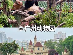 -广州动物园