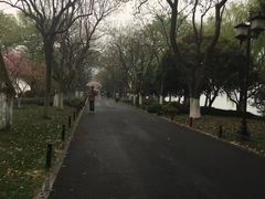 -苏堤停车场
