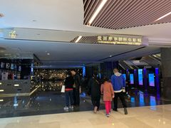 -武商摩尔影城(国广IMAX激光店)
