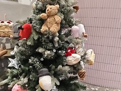 -夏佐CHASEL(横店康庄路店)