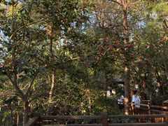 -天目湖涵田半山温泉