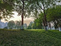 -龙头寺公园