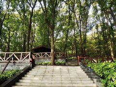 -南京老山国家森林公园