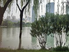 -后襄河公园