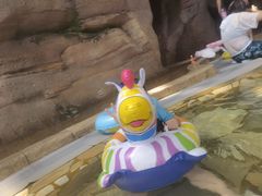 -杭州开元森泊度假乐园