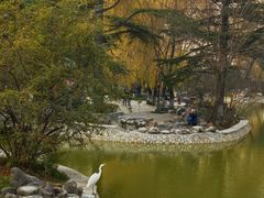 -西安市长乐公园
