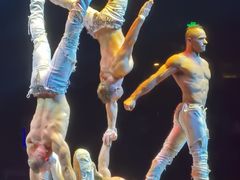 -珠海横琴长隆《卡卡虎奇遇记》