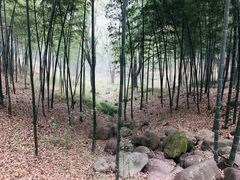 -采石矶景区