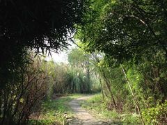 -梁鸿国家湿地公园