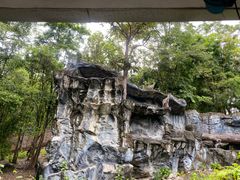 -清迈夜间动物园