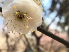 -北京鹫峰国家森林公园