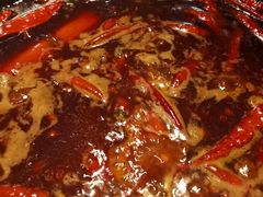 -蜀大侠火锅(建设路第五大道店)