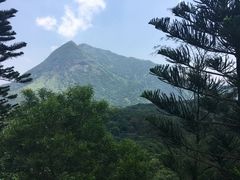 -大澳