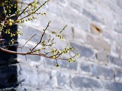 -北京明城墙遗址公园