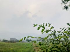 -大自然农场蔬菜草莓采摘园