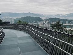 -福道