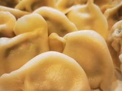 鲅鱼馅水饺-双井轩(双井店)