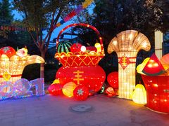 -南宫五洲植物乐园