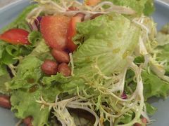 -朱记乳鸽王·非遗石岐乳鸽·全鸽宴(大兴旗舰店)
