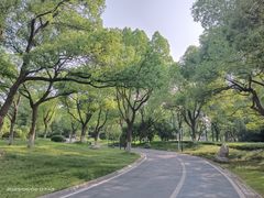 -新洲生态园