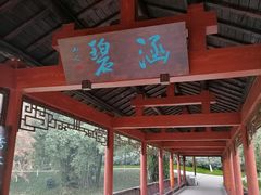-重庆彩云湖湿地公园