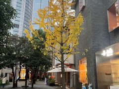 -徐家汇源景区-衡山坊